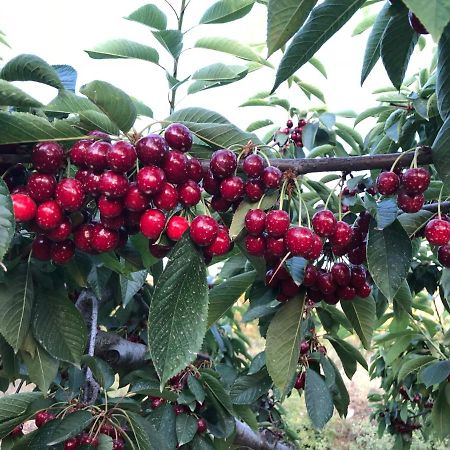 Finca La Foia El Pou Confrides Экстерьер фото